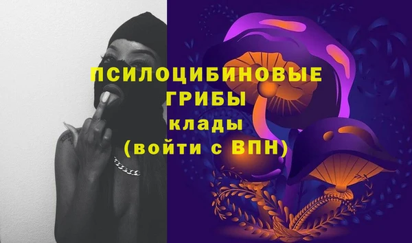 2c-b Володарск