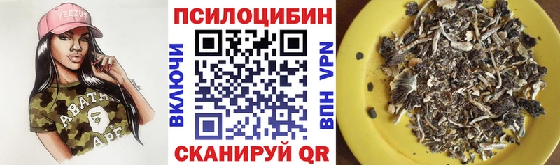 что такое   Волосово  Псилоцибиновые грибы мицелий 